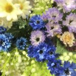 インタビュー★ブジャ先生★
