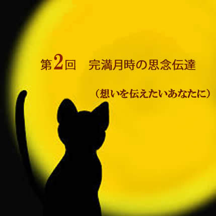 満月を背景に猫のシルエット、第1回思念伝達のイベント