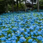 口コミ M・H様　いつも救われます