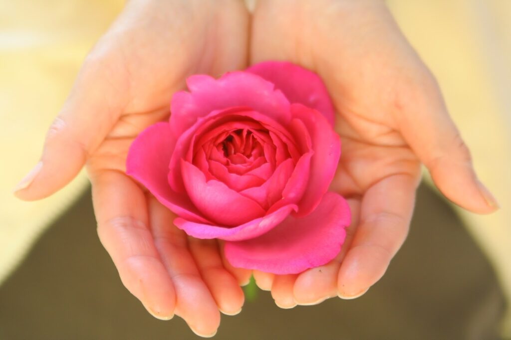 電話占いによる鑑定なら「占いの館ランプ」