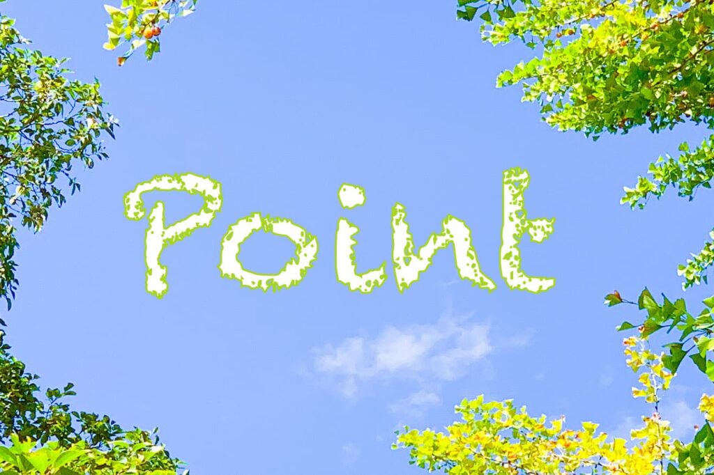 【電話占い】占い師選びの際のポイント・注意点