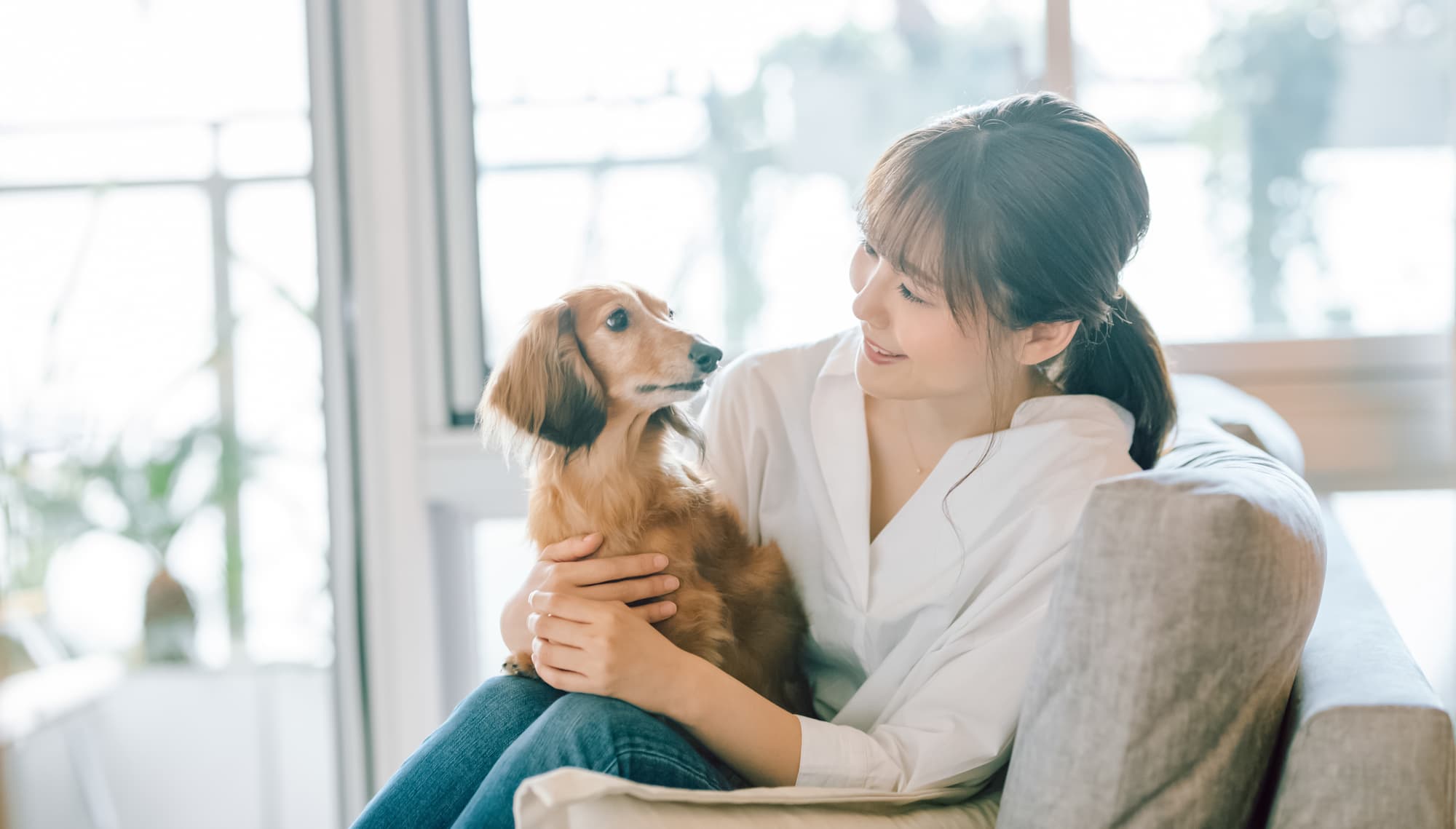 投稿についてもっと詳しく 電話占いでペットの気持ちを知ることはできる…？占術やおすすめサービスを紹介